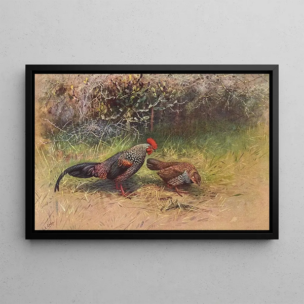 Jungle Gray Cock - George Edward Lodge — framed artwork on a wall
