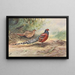 Pheasant with barred back by Hume - George Edward Lodge — framed artwork on a wall