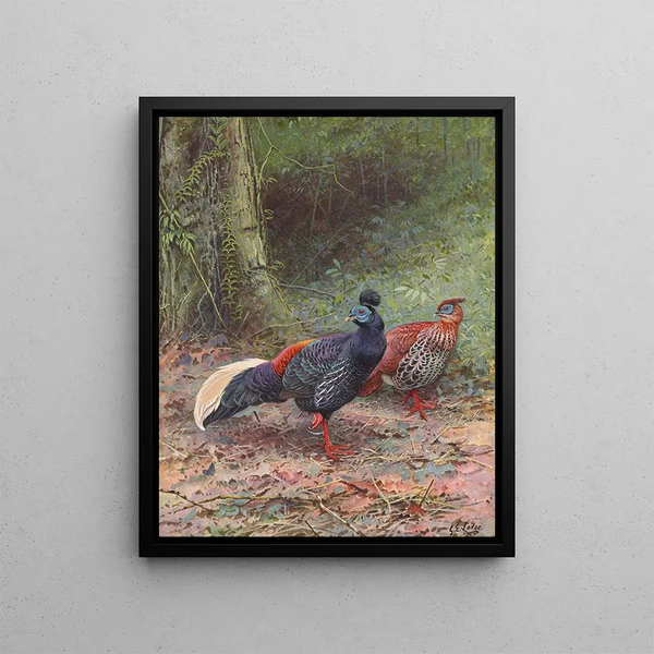 Malaise Cockatoo Painting - George Edward Lodge — framed artwork on a wall