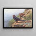 Pheasant Mikado - George Edward Lodge — framed artwork on a wall