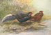 Kaleege hybrid painting of Oates - George Edward Lodge — artwork view