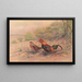 Rooster bankiva - George Edward Lodge — framed artwork on a wall