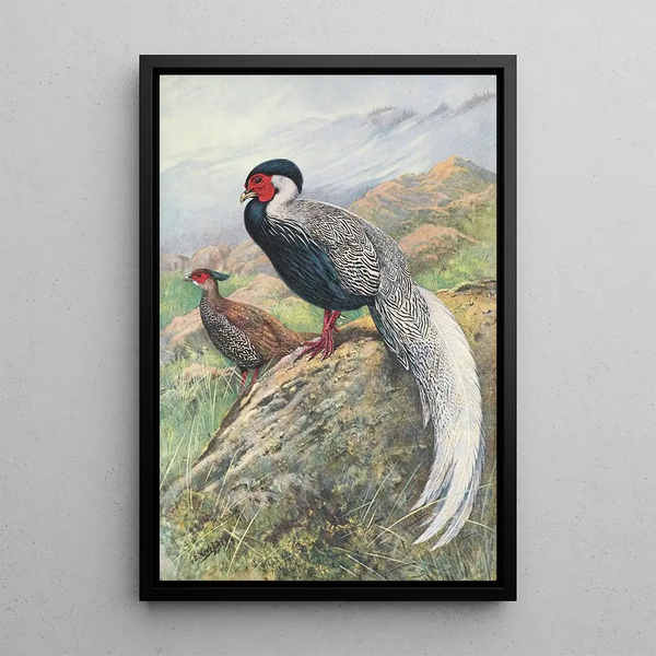 Kaleege Silver Hybrid of Rippon - George Edward Lodge — framed artwork on a wall