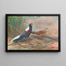 Kaleege de Swinhoe - George Edward Lodge — framed artwork on a wall