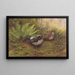 Kaleege with White Crest - George Edward Lodge — framed artwork on a wall