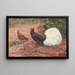 Pheasant with White-Tipped Tail - George Edward Lodge — framed artwork on a wall
