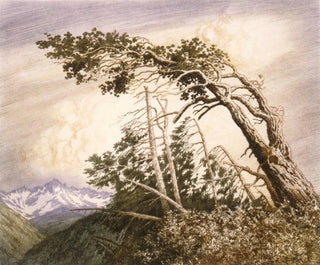 Maison des vents n° 2 - George Elbert Burr — artwork view