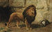 a lion guarding its den - George Goodwin Kilburne Jr — artwork view