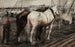 Horses at Work in Houthaven, Amsterdam - George Hendrik Breitner — artwork view