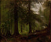Interior of the Forest - George Hetzel — artwork view