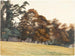 the Gardens of Castle Howard - George Howard, 9th Earl of Carlisle — artwork view