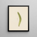 Aquarelle d'entomologie Pl. 002 - George Hudson — framed artwork on a wall