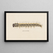 Entomology watercolor pl. 009 - George Hudson — framed artwork on a wall