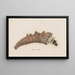 Entomology watercolor Pl025 - George Hudson — framed artwork on a wall