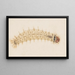 Aquarelle d'entomologie Pl032 - George Hudson — framed artwork on a wall