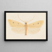 Entomology watercolor Painting Pl052 - George Hudson — framed artwork on a wall