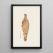 Entomological watercolor painting Pl062 - George Hudson — framed artwork on a wall