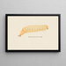 Entomology watercolor Painting Pl067 - George Hudson — framed artwork on a wall