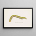 Entomology watercolor Painting Pl071 - George Hudson — framed artwork on a wall