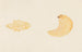 Entomology watercolor Pl084 - George Hudson — artwork view