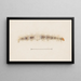 Entomology watercolor painting Pl123 - George Hudson — framed artwork on a wall