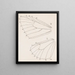 watercolor entomology Pl165 - George Hudson — framed artwork on a wall