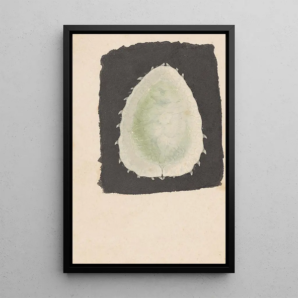 Entomological watercolor painting Pl167 - George Hudson — framed artwork on a wall