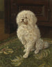 Caniche on a green rug - George L. Harrison — artwork view