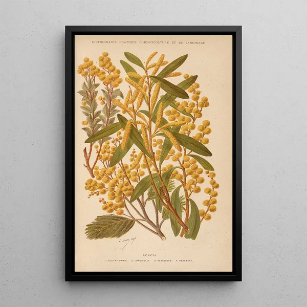 Dictionnaire pratique d'horticulture Pl01 - George Nicholson — framed artwork on a wall