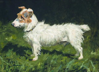 Piper, a Jack Russell Terrier - George Paice — artwork view
