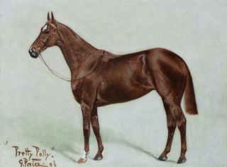 Beautiful Polly painting - George Paice — artwork view