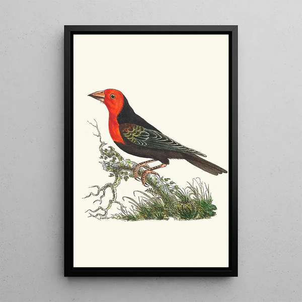 Abyssinian Plant Pot Painting - George Shaw — framed artwork on a wall