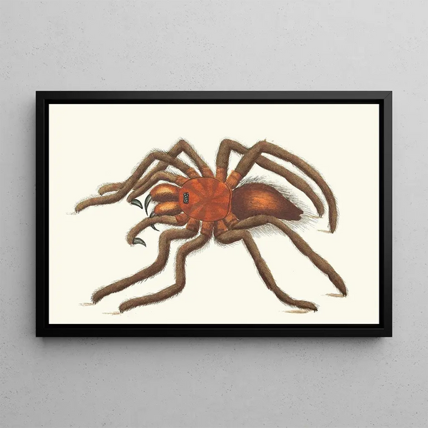 Birdcatcher Spider Painting - George Shaw — framed artwork on a wall
