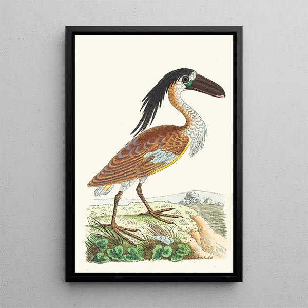 Bec-en-sabot - George Shaw — framed artwork on a wall