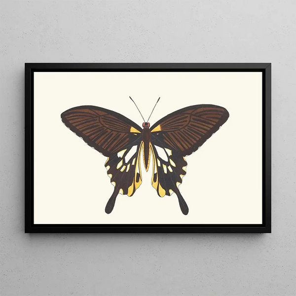 Deiphobe - George Shaw — framed artwork on a wall