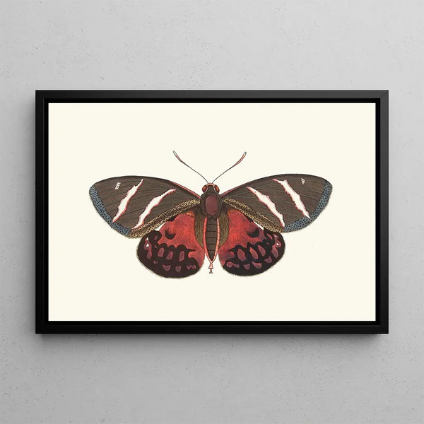 Icarus - George Shaw — framed artwork on a wall