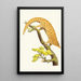 The pangolin with five fingers - George Shaw — framed artwork on a wall