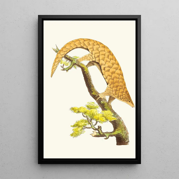 The pangolin with five fingers - George Shaw — framed artwork on a wall