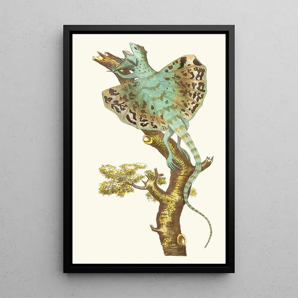 The Flying Dragon - George Shaw — framed artwork on a wall