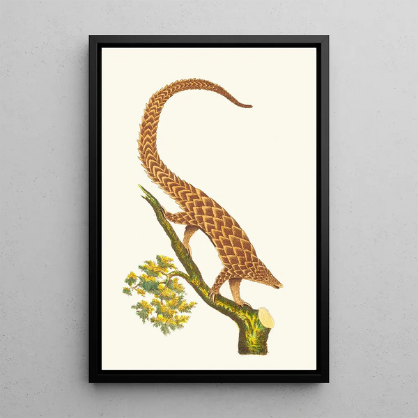 The four-fingered pangolin - George Shaw — framed artwork on a wall