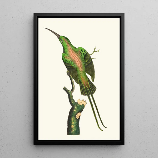 The Bright Climber - George Shaw — framed artwork on a wall