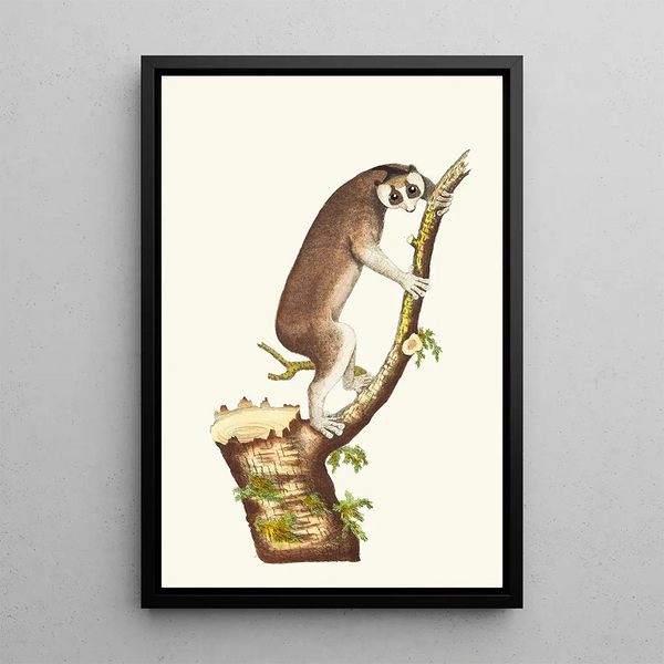 The Slow Lemur - George Shaw — framed artwork on a wall