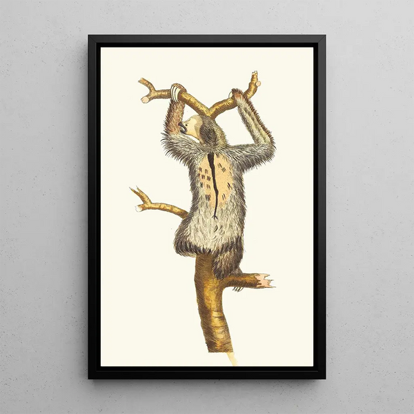 Lazy three-finger - George Shaw — framed artwork on a wall