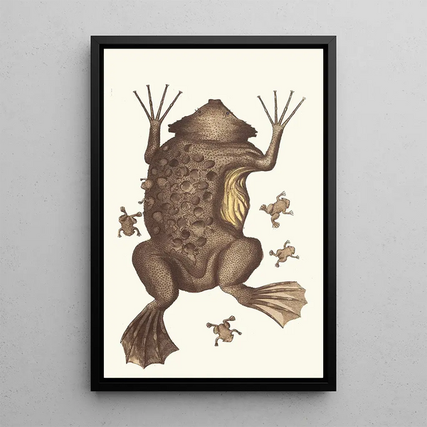 Surinam Toad Painting - George Shaw — framed artwork on a wall