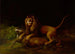 a lion attacking a deer - George Stubbs — artwork view