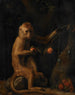 a monkey - George Stubbs — artwork view