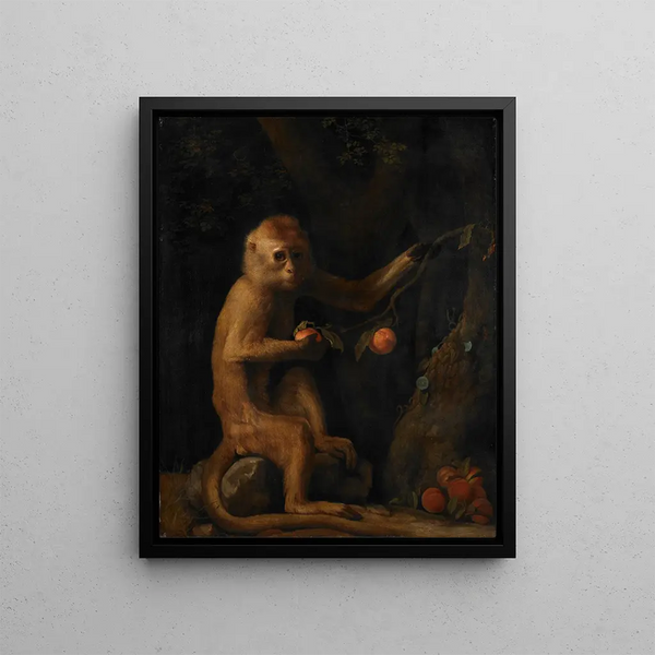 a monkey - George Stubbs — framed artwork on a wall
