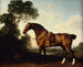 a bay and white hunting horse - George Stubbs — artwork view