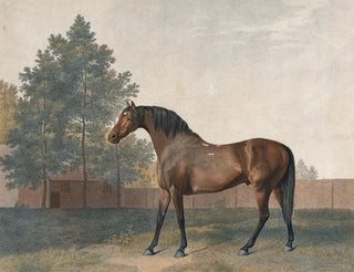 Anvil - George Stubbs — artwork view