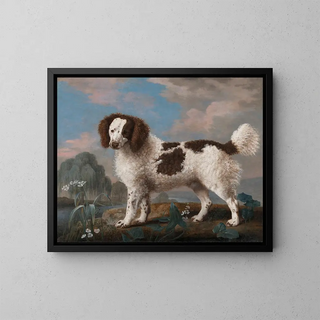Norfolk Spaniel painting in brown and white - George Stubbs — framed artwork on a wall